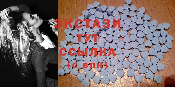 дмт Тайга