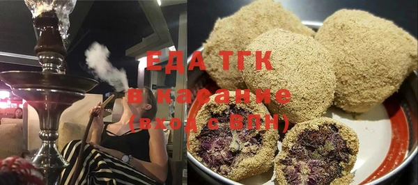 дмт Тайга