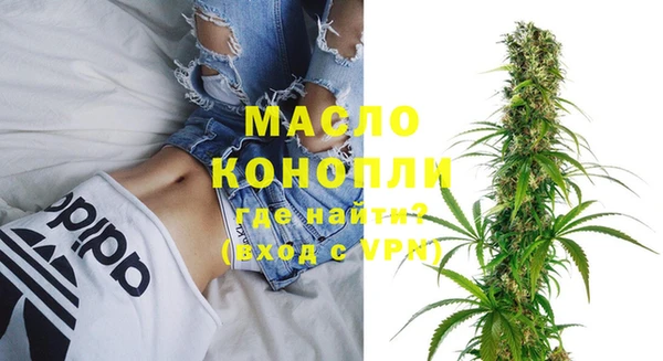 дмт Тайга