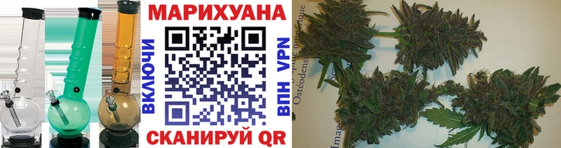 где купить   Валуйки  Каннабис SATIVA & INDICA 